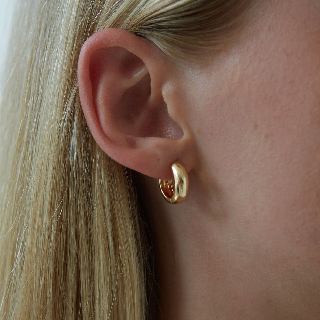 Auskarai „Janet Hoops“