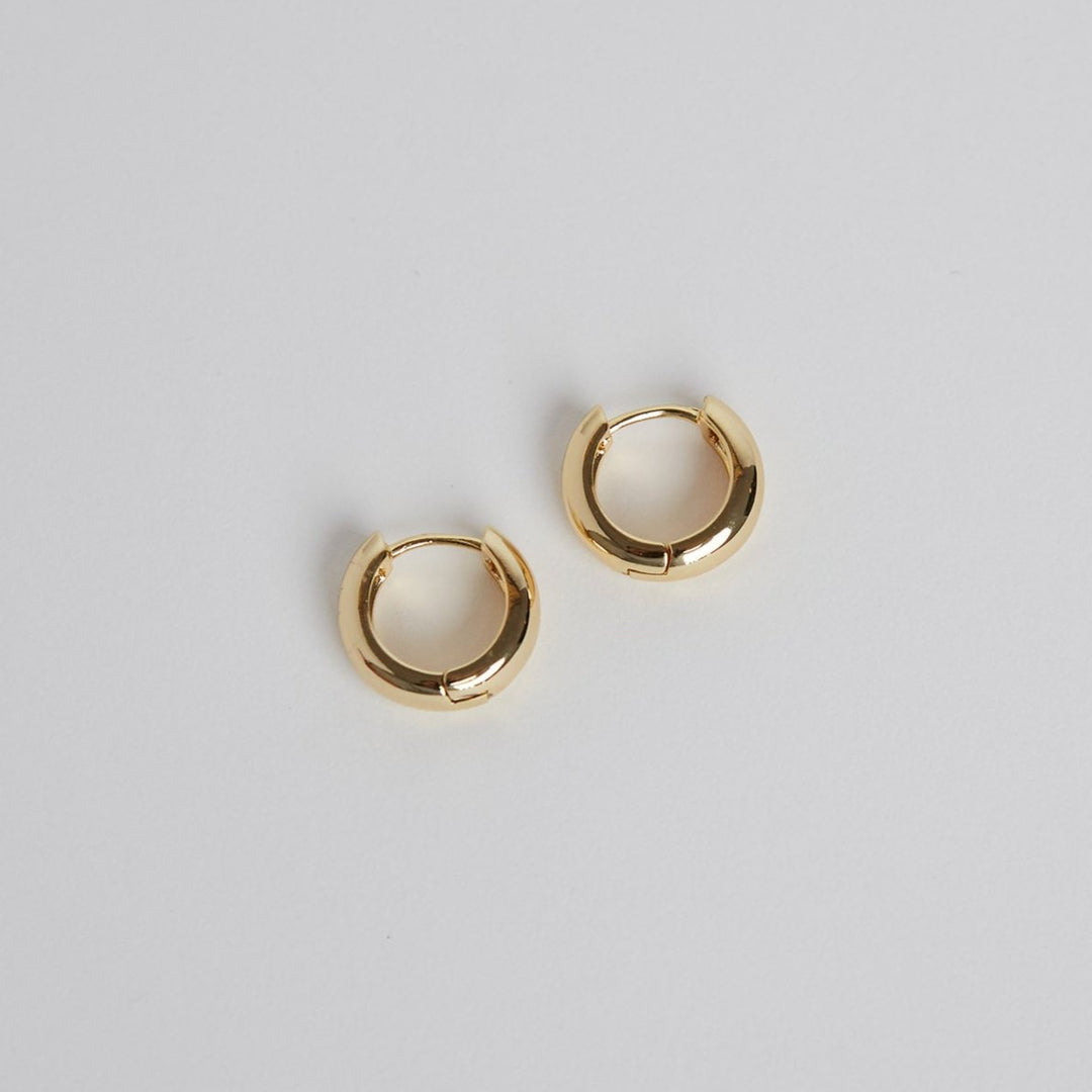 Auskarai „Janet Hoops“