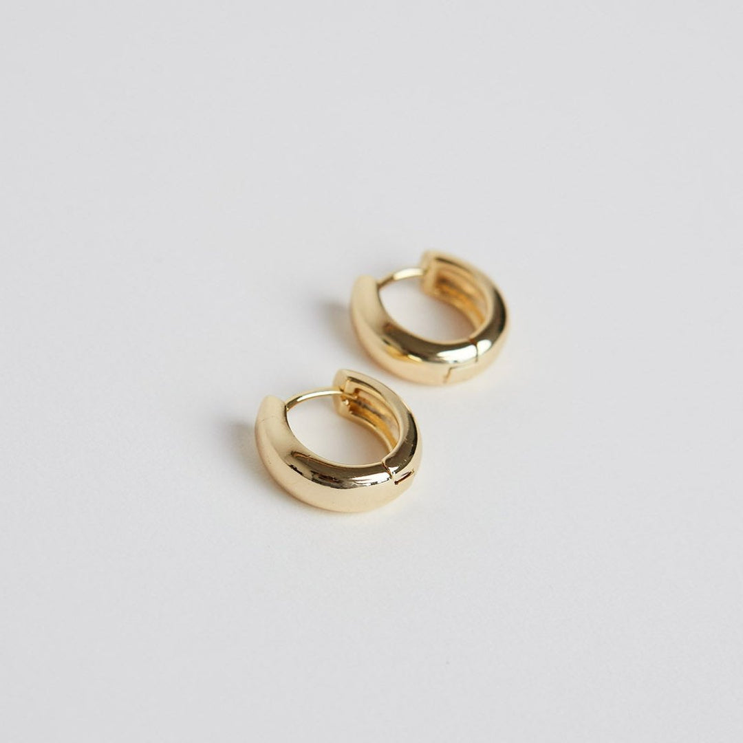 Auskarai „Janet Hoops“